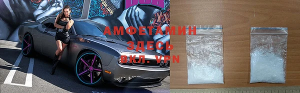 прущие грибы Алексеевка
