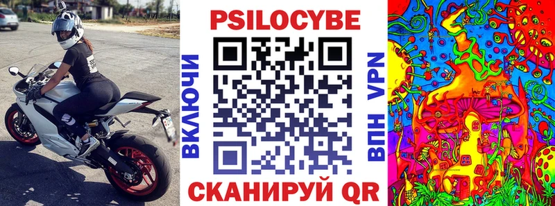 Галлюциногенные грибы Cubensis  KRAKEN   Заволжье 