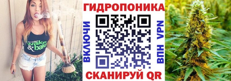 Каннабис Amnesia  omg как войти  Заволжье 
